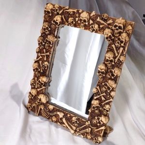 The Skull Collection Mirror 9"x 6 1/2" Skulls Galore Creepy But Cool
